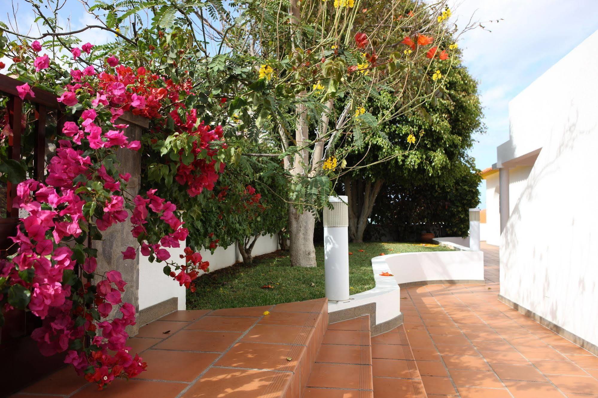 Canico Bay Apartments Eksteriør bilde